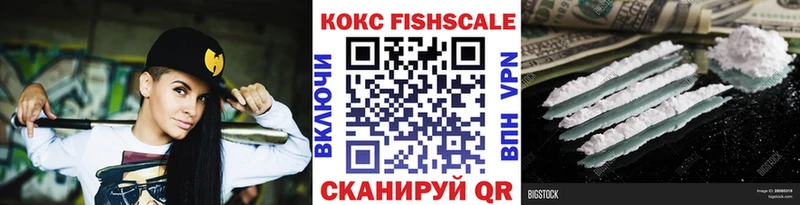 COCAIN FishScale  купить наркотики сайты  MEGA как войти  Кимовск 