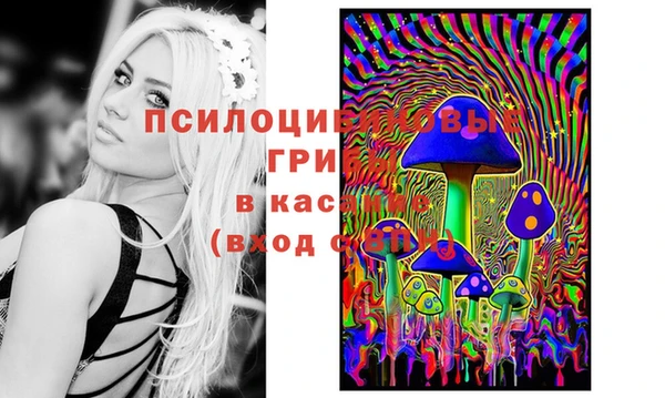 стаф Балабаново