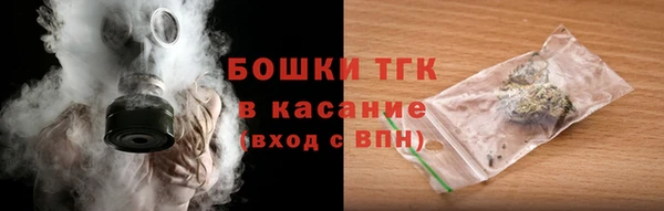 крисы Баксан