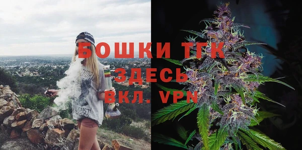 твердый Арсеньев