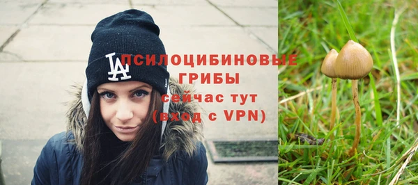Альфа ПВП Армянск